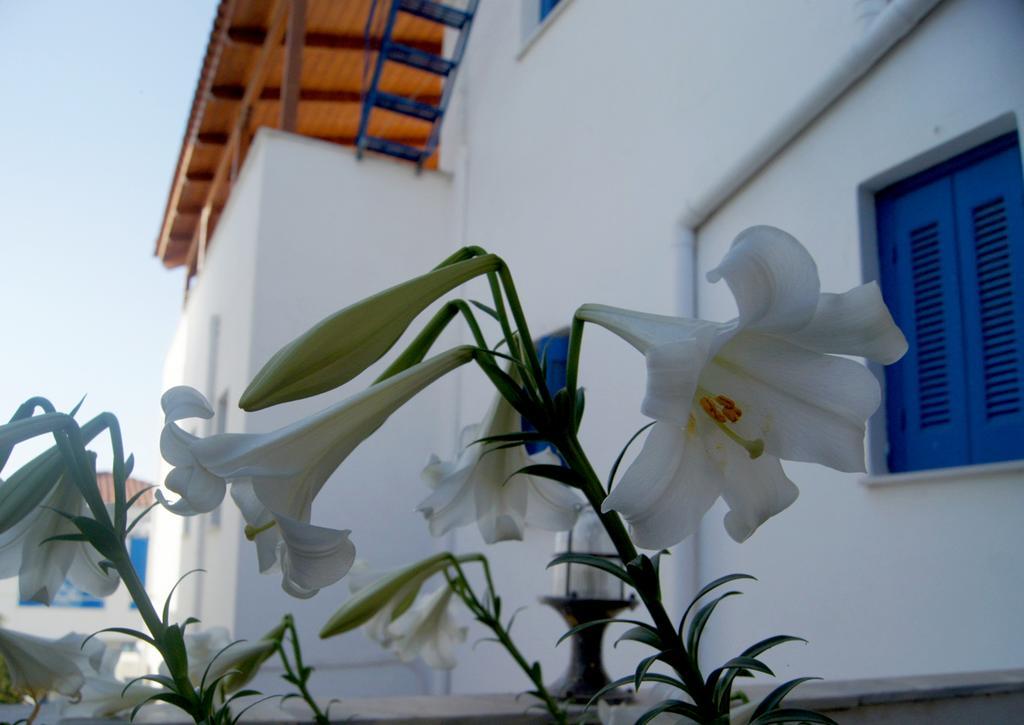 Idroussa Apartman Bací Kültér fotó